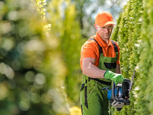 AdobeStock_276335217-min_11zon